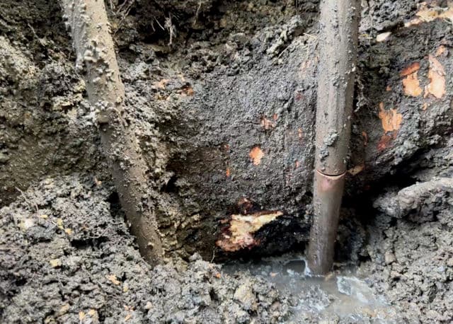 Tree Root Problem Solved in San Luis Obispo: Quick and Efficient Water Line Repair image