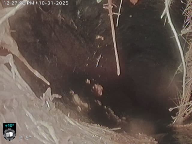 Root Intrusions in Sewer Lines Detected in San Luis Obispo image