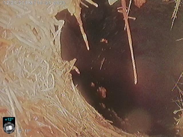 Gallery photos for Root Intrusions in Sewer Lines Detected in San Luis Obispo: Image #1